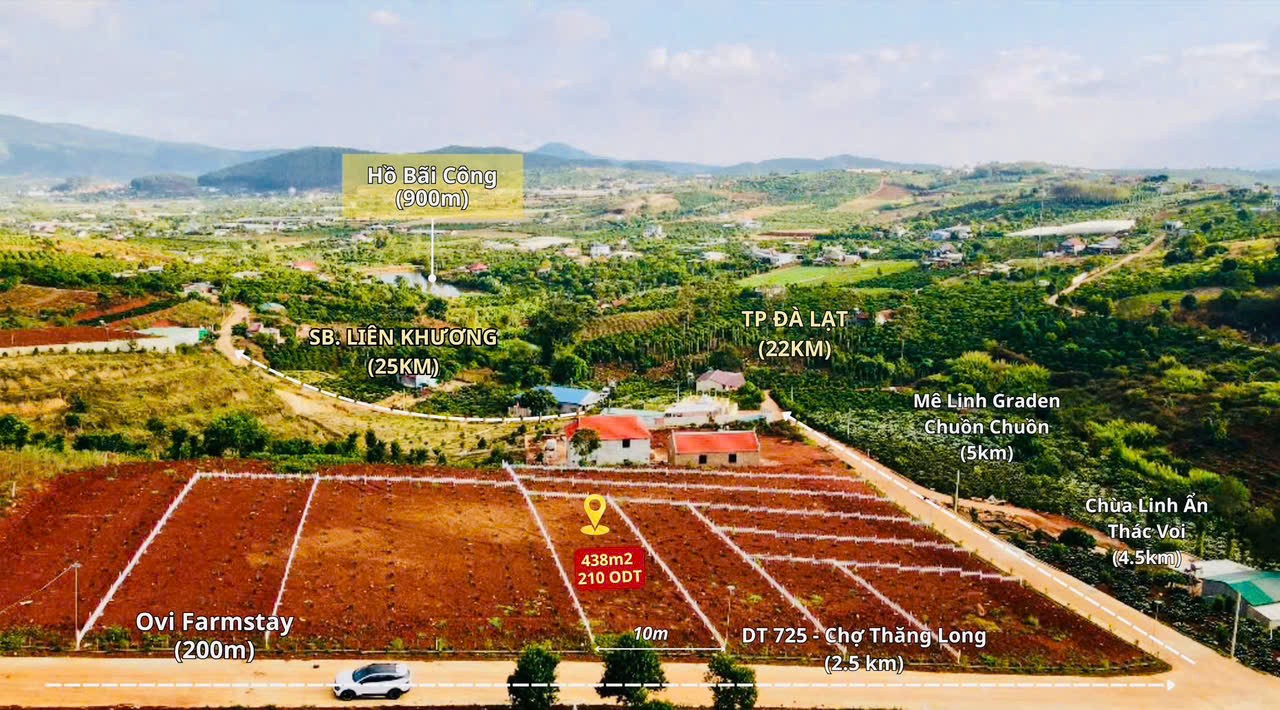 ban sat thi tran nam ban gia ngop